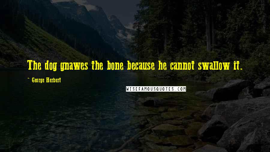 George Herbert Quotes: The dog gnawes the bone because he cannot swallow it.