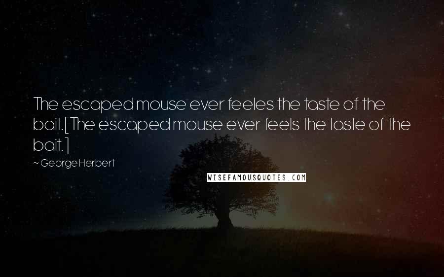 George Herbert Quotes: The escaped mouse ever feeles the taste of the bait.[The escaped mouse ever feels the taste of the bait.]