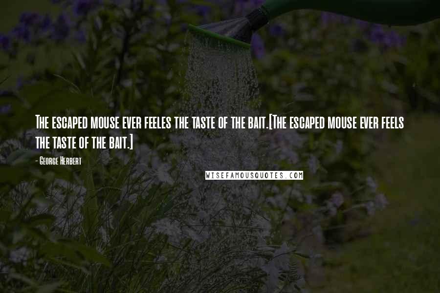 George Herbert Quotes: The escaped mouse ever feeles the taste of the bait.[The escaped mouse ever feels the taste of the bait.]