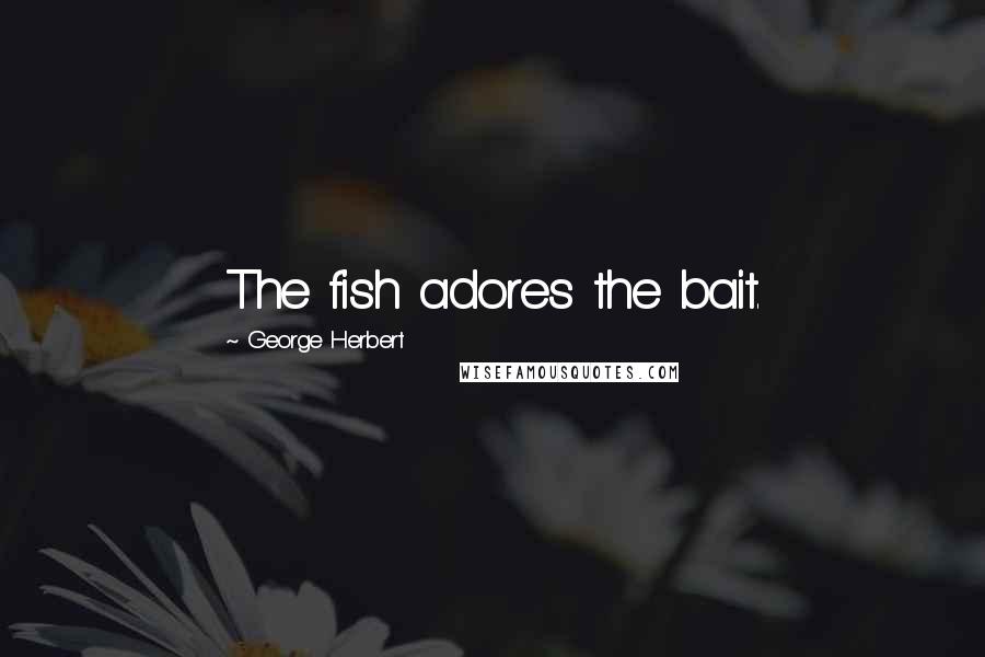 George Herbert Quotes: The fish adores the bait.