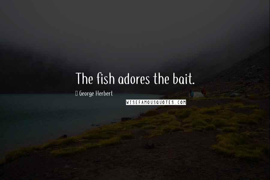 George Herbert Quotes: The fish adores the bait.