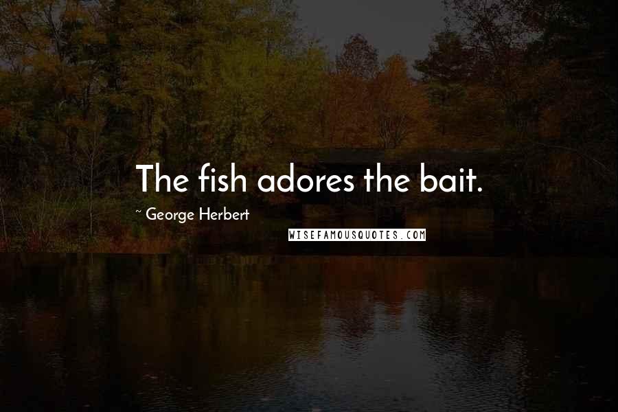 George Herbert Quotes: The fish adores the bait.