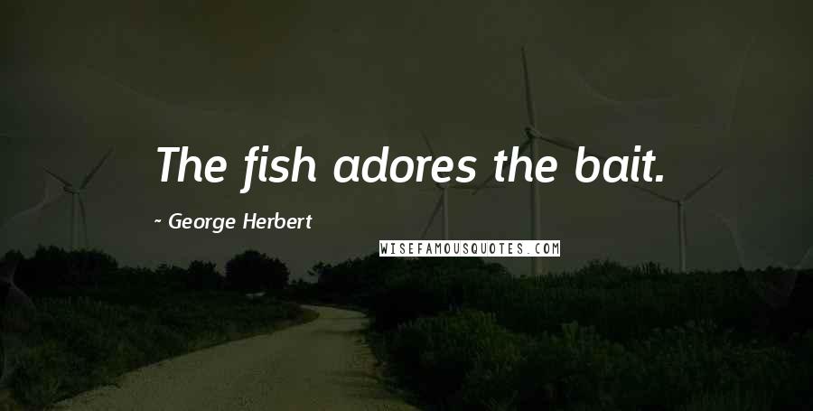 George Herbert Quotes: The fish adores the bait.