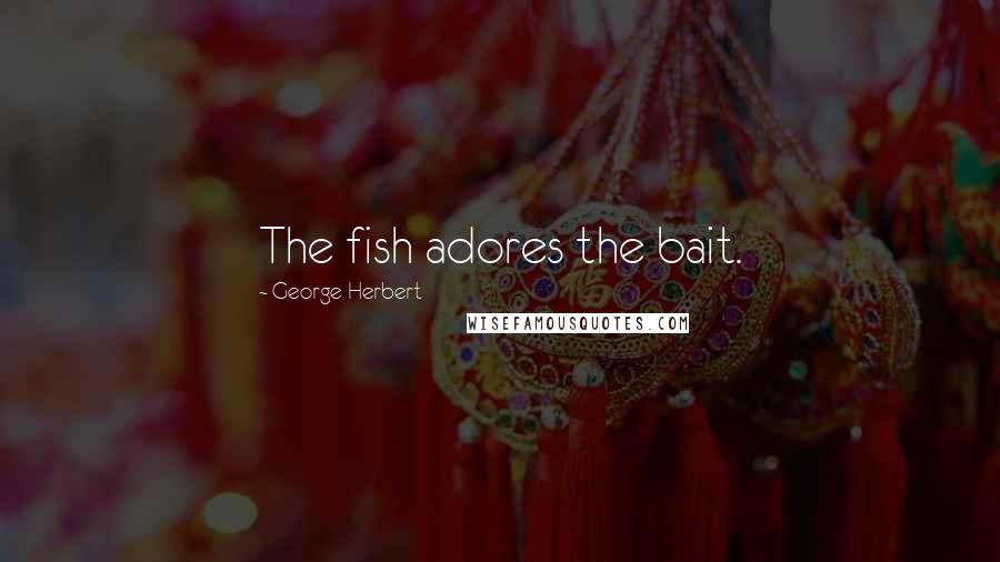 George Herbert Quotes: The fish adores the bait.