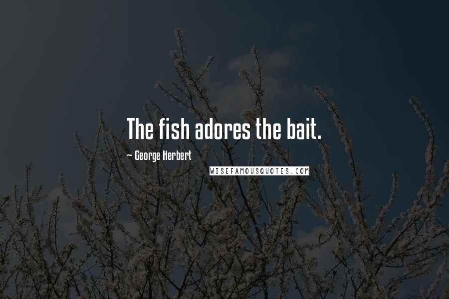 George Herbert Quotes: The fish adores the bait.