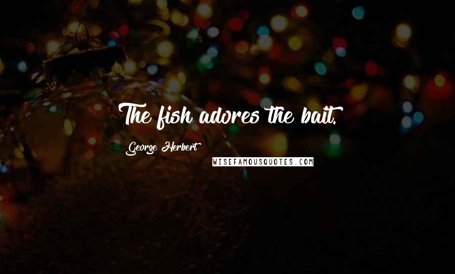 George Herbert Quotes: The fish adores the bait.