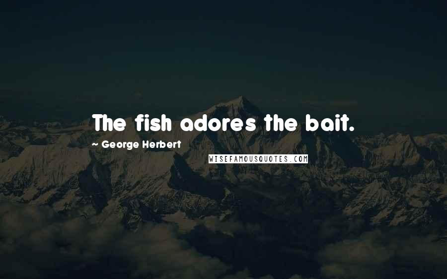 George Herbert Quotes: The fish adores the bait.