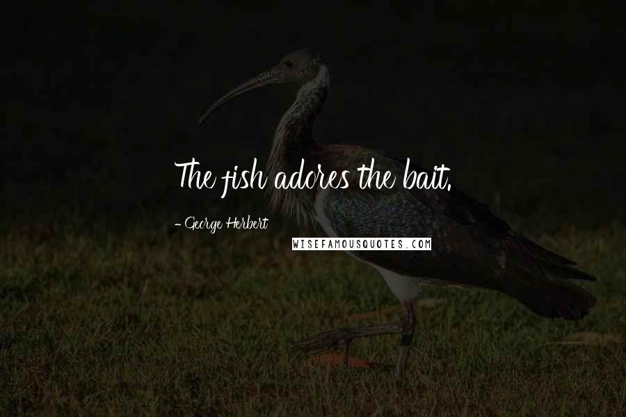 George Herbert Quotes: The fish adores the bait.