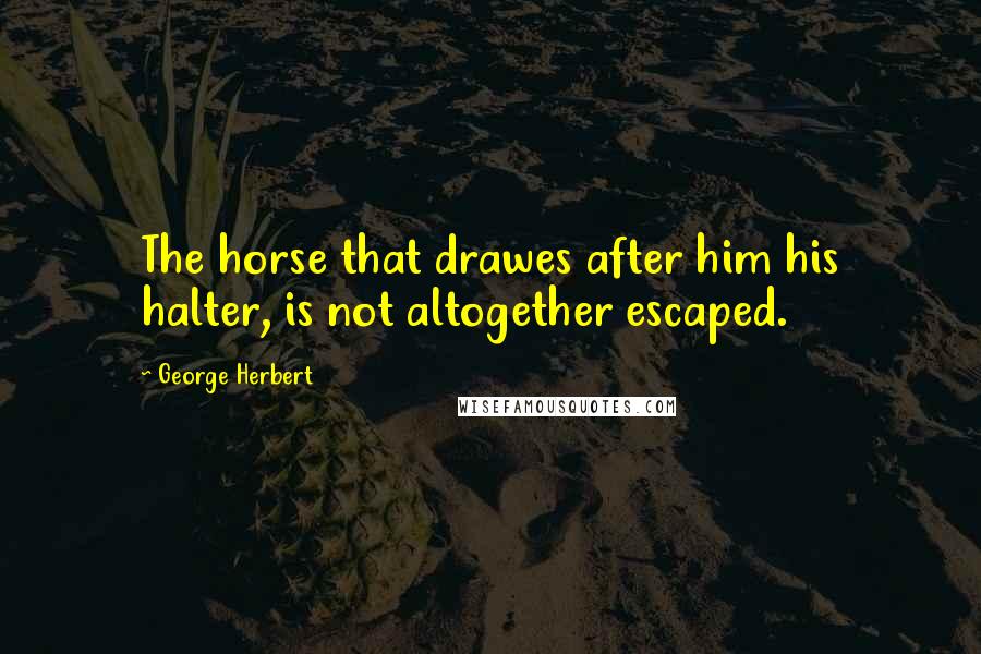 George Herbert Quotes: The horse that drawes after him his halter, is not altogether escaped.