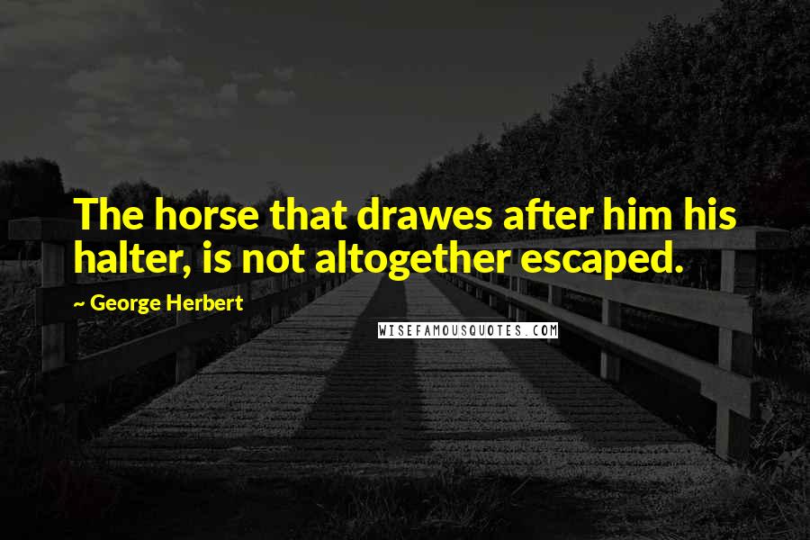 George Herbert Quotes: The horse that drawes after him his halter, is not altogether escaped.