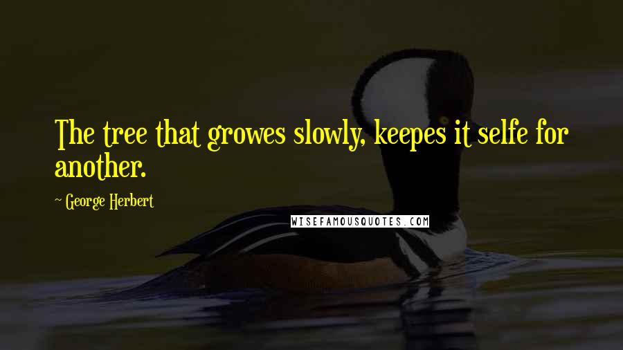 George Herbert Quotes: The tree that growes slowly, keepes it selfe for another.