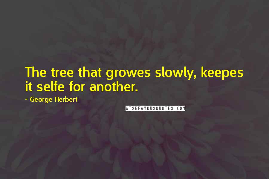 George Herbert Quotes: The tree that growes slowly, keepes it selfe for another.