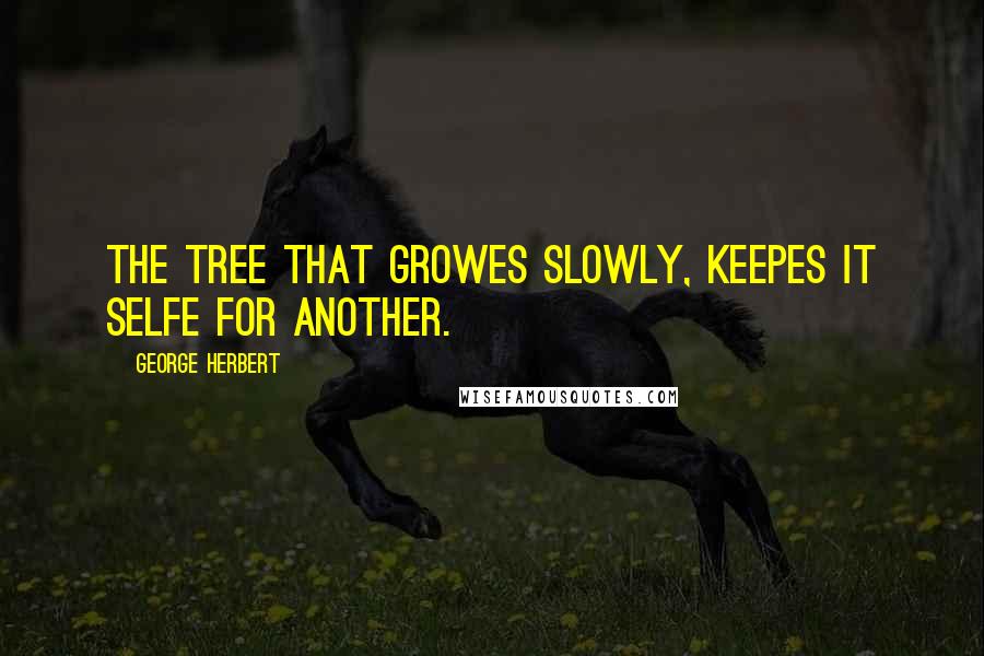 George Herbert Quotes: The tree that growes slowly, keepes it selfe for another.