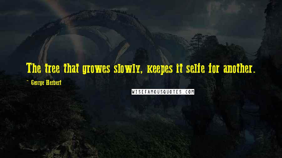 George Herbert Quotes: The tree that growes slowly, keepes it selfe for another.