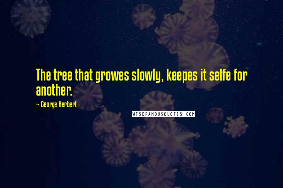 George Herbert Quotes: The tree that growes slowly, keepes it selfe for another.