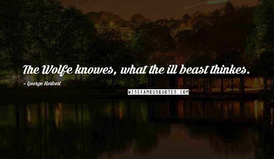 George Herbert Quotes: The Wolfe knowes, what the ill beast thinkes.