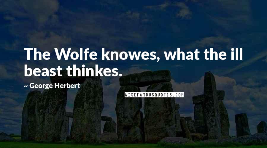 George Herbert Quotes: The Wolfe knowes, what the ill beast thinkes.