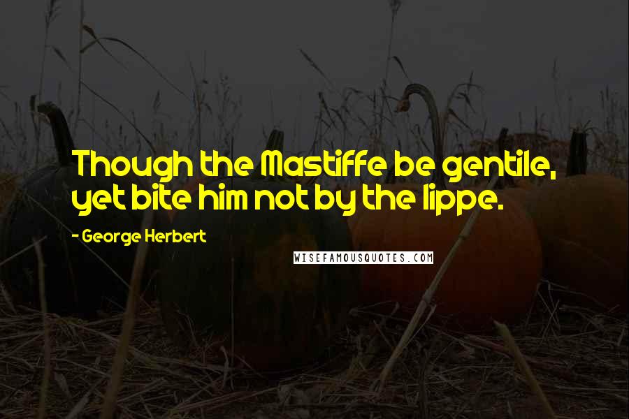 George Herbert Quotes: Though the Mastiffe be gentile, yet bite him not by the lippe.