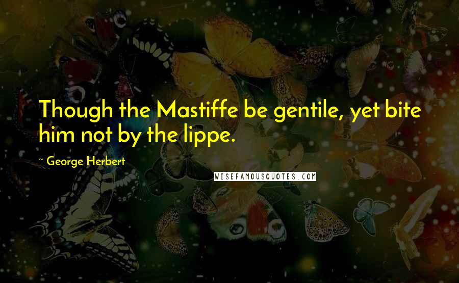 George Herbert Quotes: Though the Mastiffe be gentile, yet bite him not by the lippe.