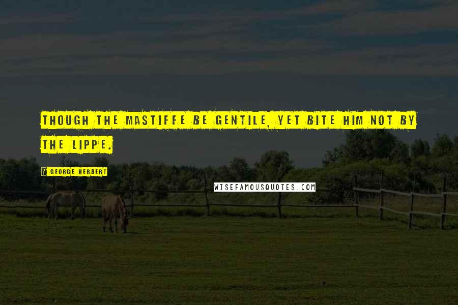 George Herbert Quotes: Though the Mastiffe be gentile, yet bite him not by the lippe.