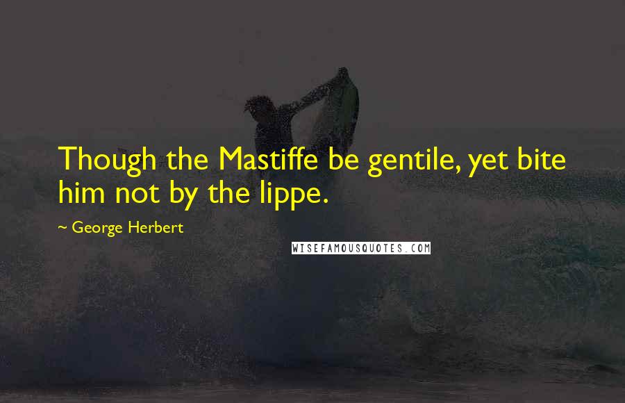 George Herbert Quotes: Though the Mastiffe be gentile, yet bite him not by the lippe.