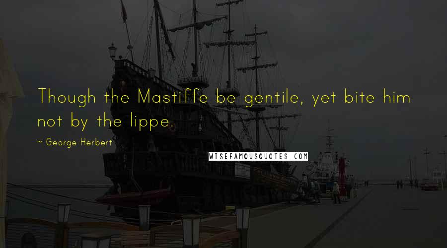 George Herbert Quotes: Though the Mastiffe be gentile, yet bite him not by the lippe.