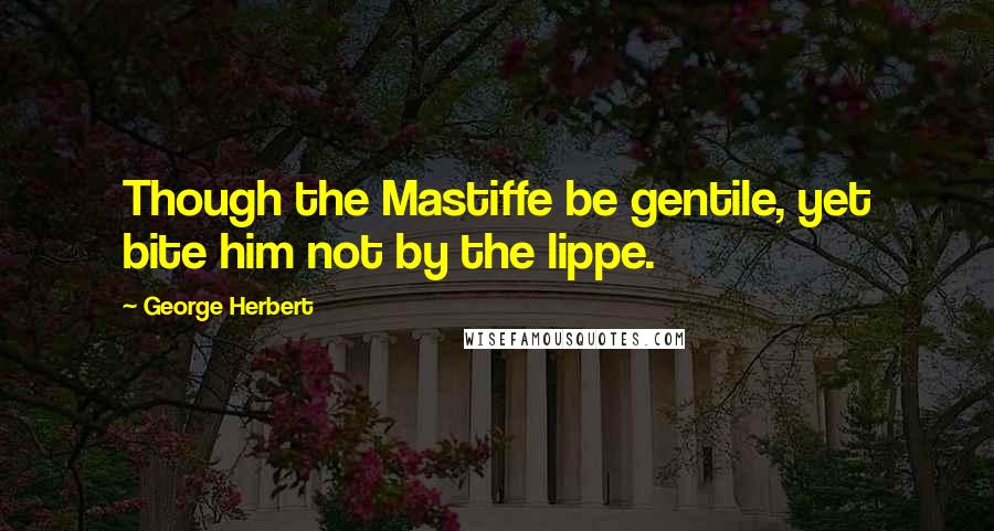 George Herbert Quotes: Though the Mastiffe be gentile, yet bite him not by the lippe.