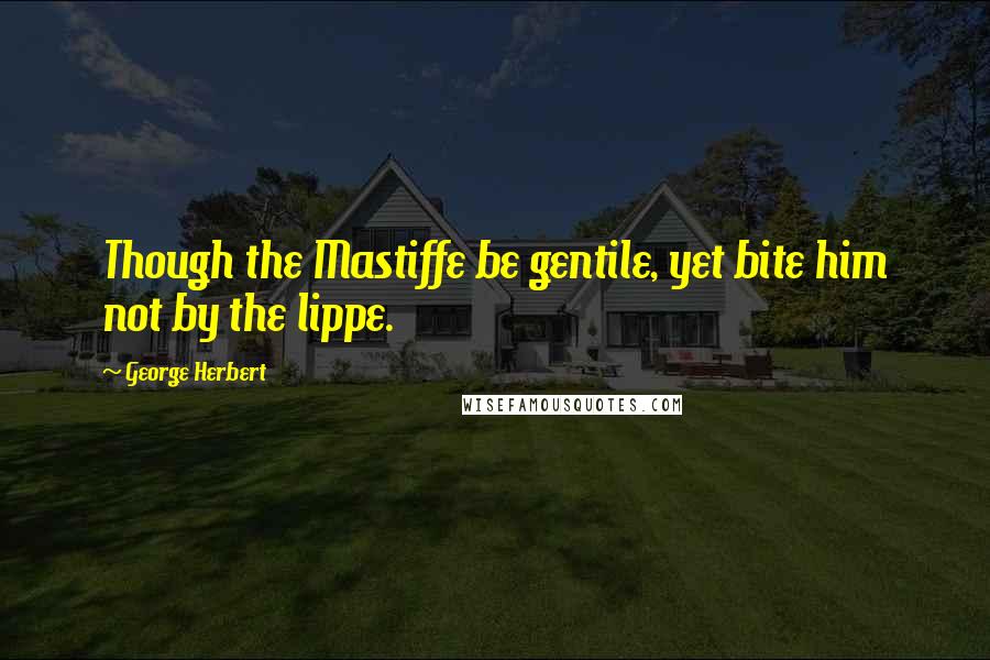 George Herbert Quotes: Though the Mastiffe be gentile, yet bite him not by the lippe.