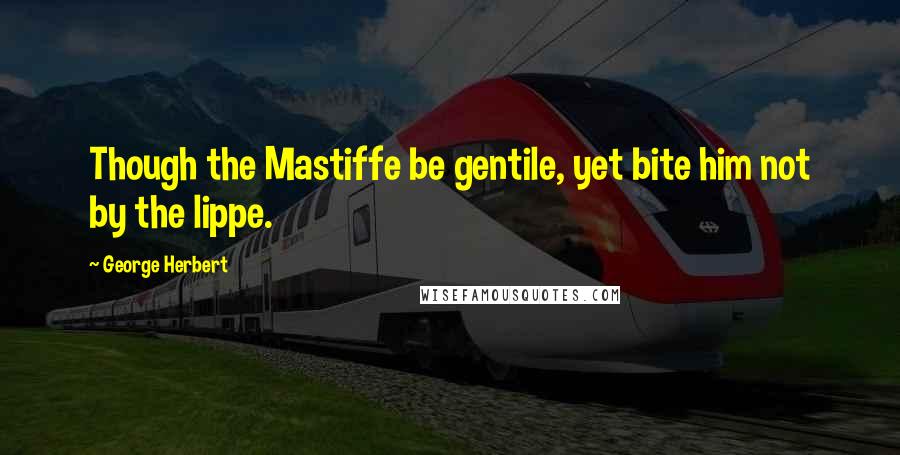 George Herbert Quotes: Though the Mastiffe be gentile, yet bite him not by the lippe.
