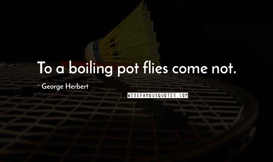 George Herbert Quotes: To a boiling pot flies come not.