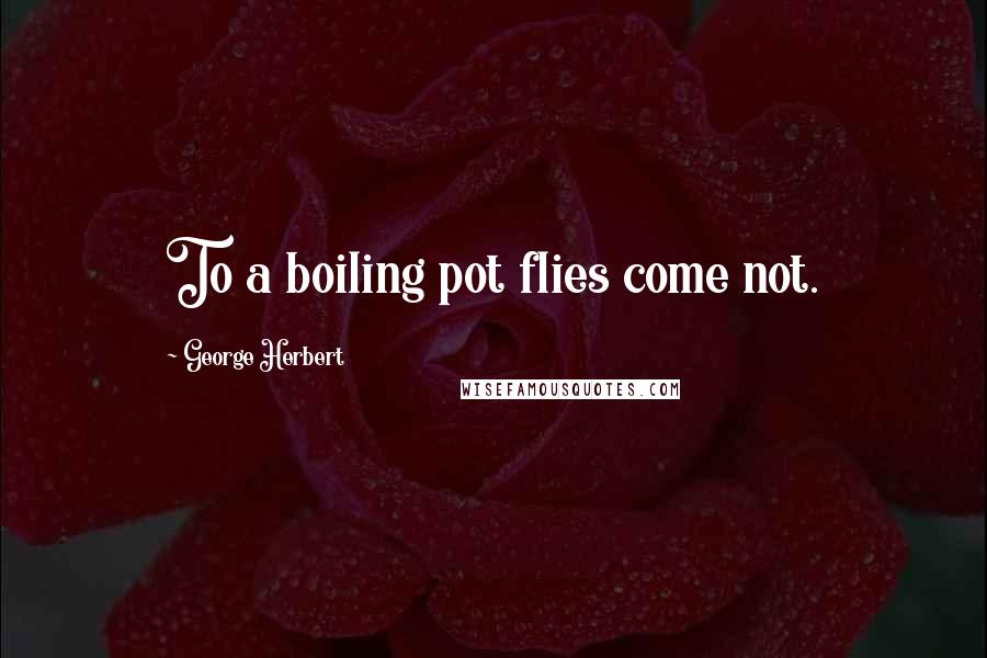 George Herbert Quotes: To a boiling pot flies come not.