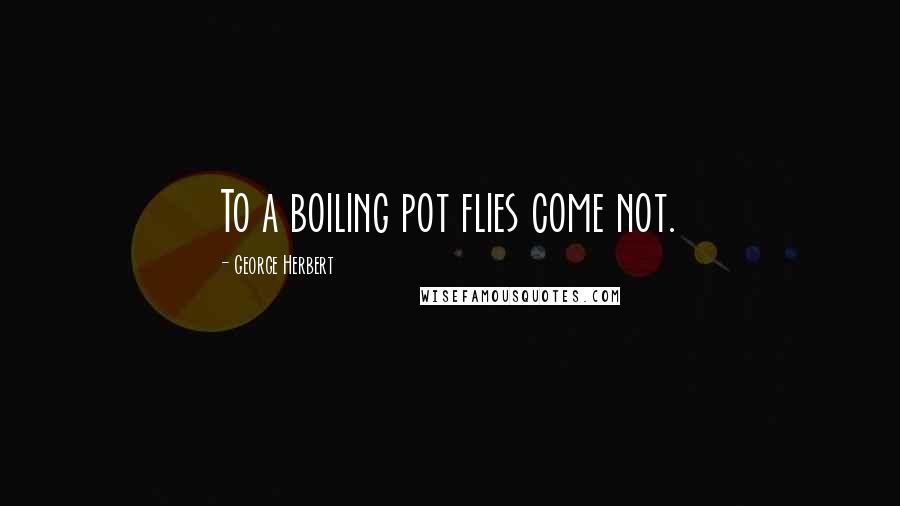 George Herbert Quotes: To a boiling pot flies come not.