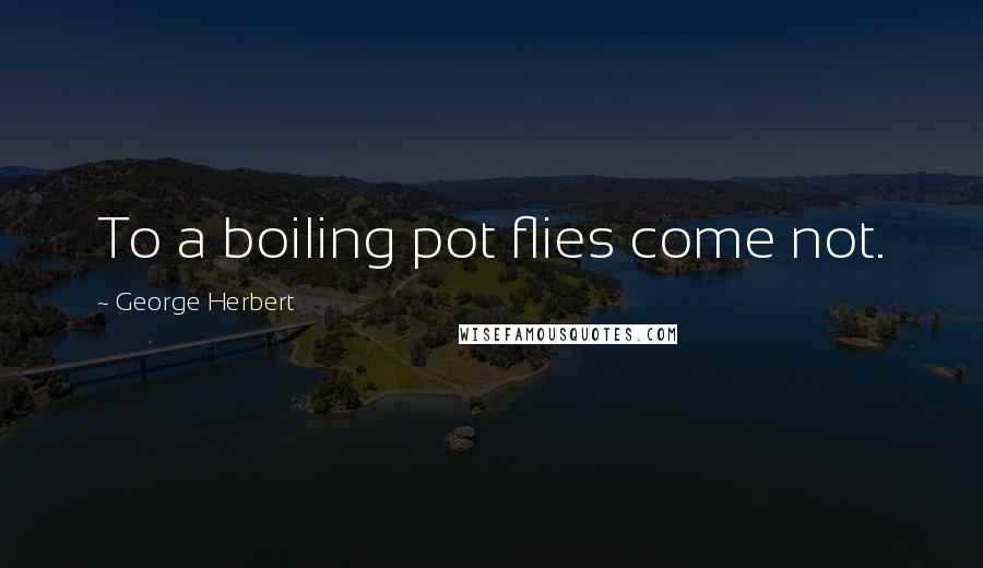 George Herbert Quotes: To a boiling pot flies come not.