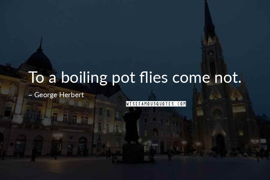George Herbert Quotes: To a boiling pot flies come not.