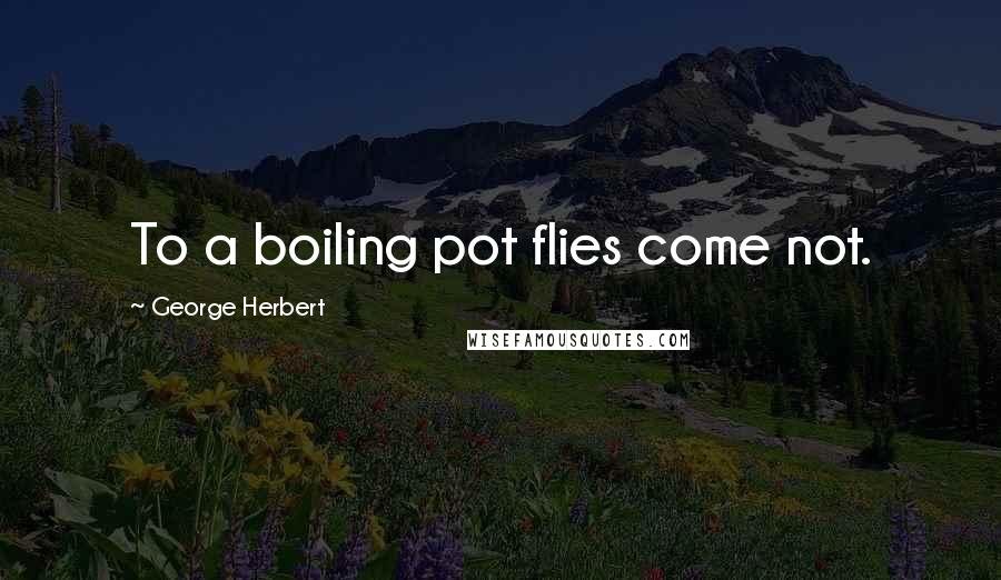 George Herbert Quotes: To a boiling pot flies come not.