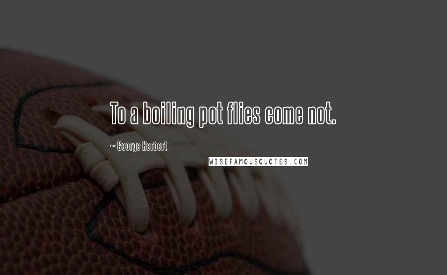 George Herbert Quotes: To a boiling pot flies come not.