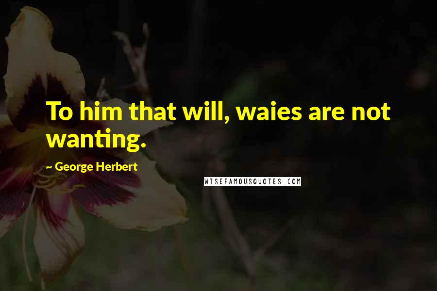 George Herbert Quotes: To him that will, waies are not wanting.