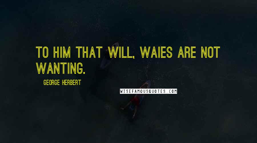 George Herbert Quotes: To him that will, waies are not wanting.