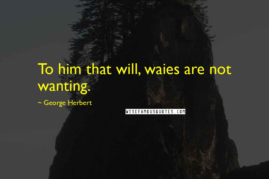 George Herbert Quotes: To him that will, waies are not wanting.