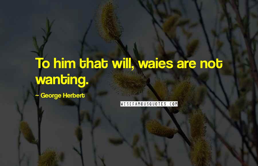 George Herbert Quotes: To him that will, waies are not wanting.