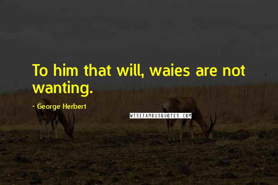 George Herbert Quotes: To him that will, waies are not wanting.