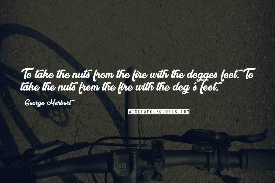 George Herbert Quotes: To take the nuts from the fire with the dogges foot.[To take the nuts from the fire with the dog's foot.]