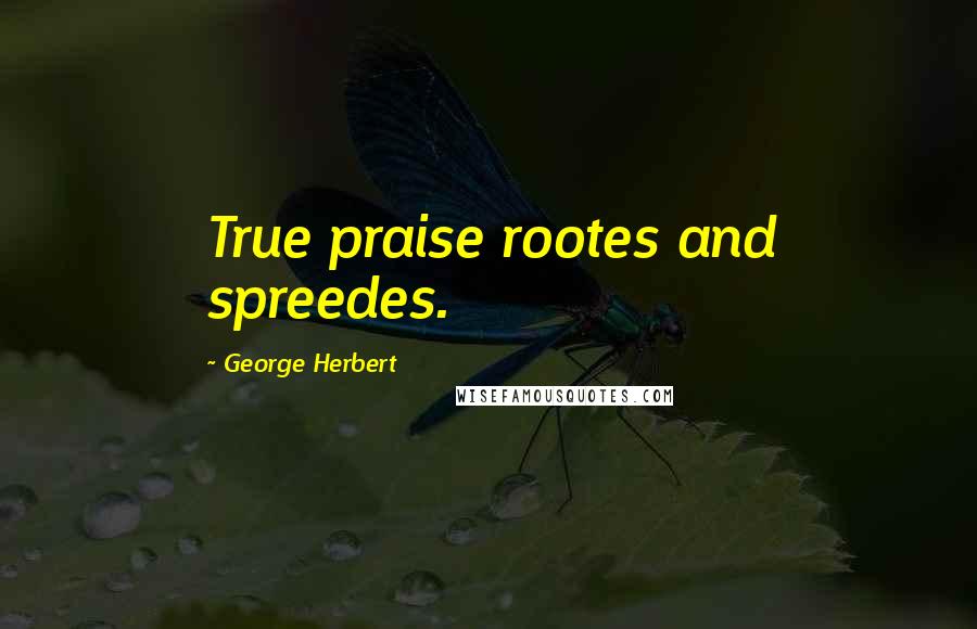 George Herbert Quotes: True praise rootes and spreedes.