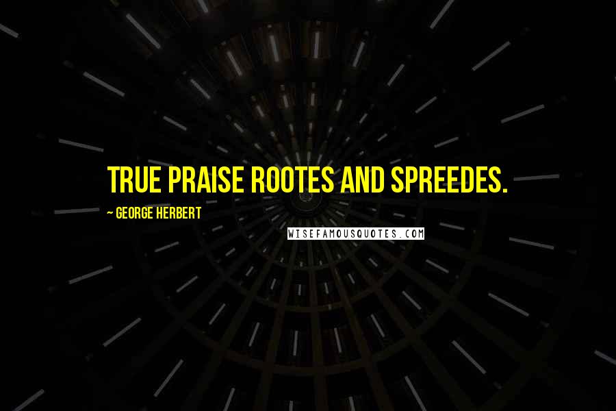 George Herbert Quotes: True praise rootes and spreedes.