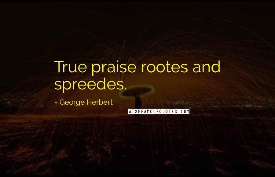 George Herbert Quotes: True praise rootes and spreedes.