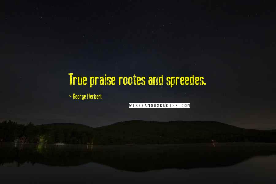 George Herbert Quotes: True praise rootes and spreedes.