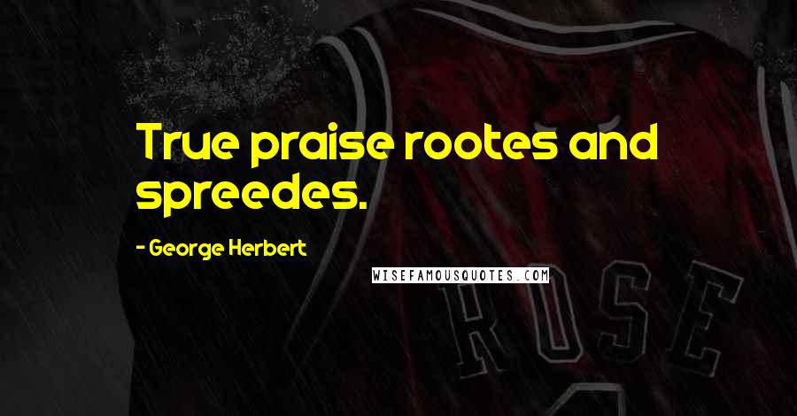 George Herbert Quotes: True praise rootes and spreedes.