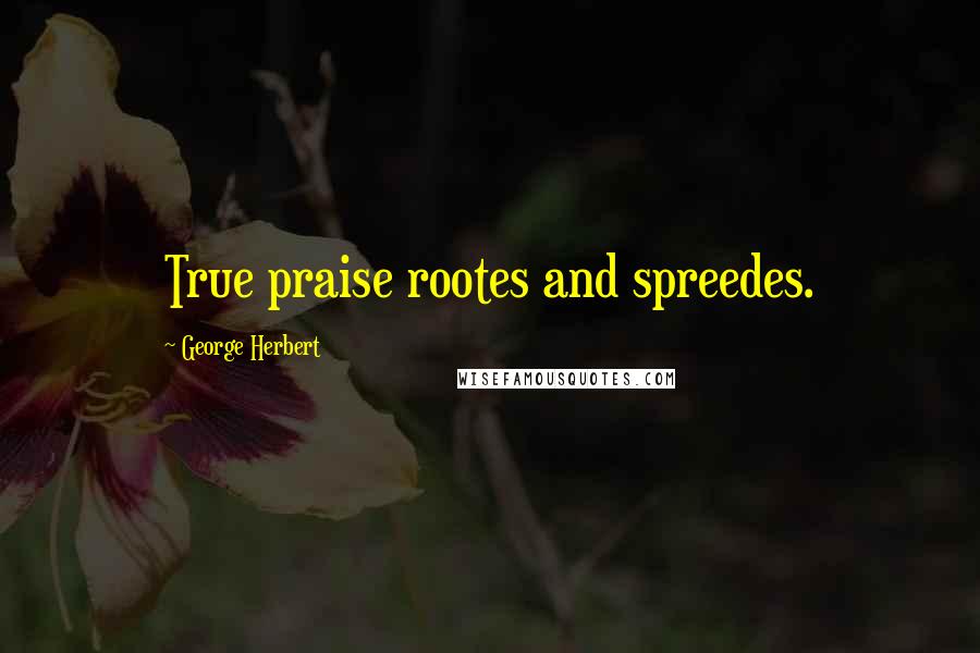 George Herbert Quotes: True praise rootes and spreedes.