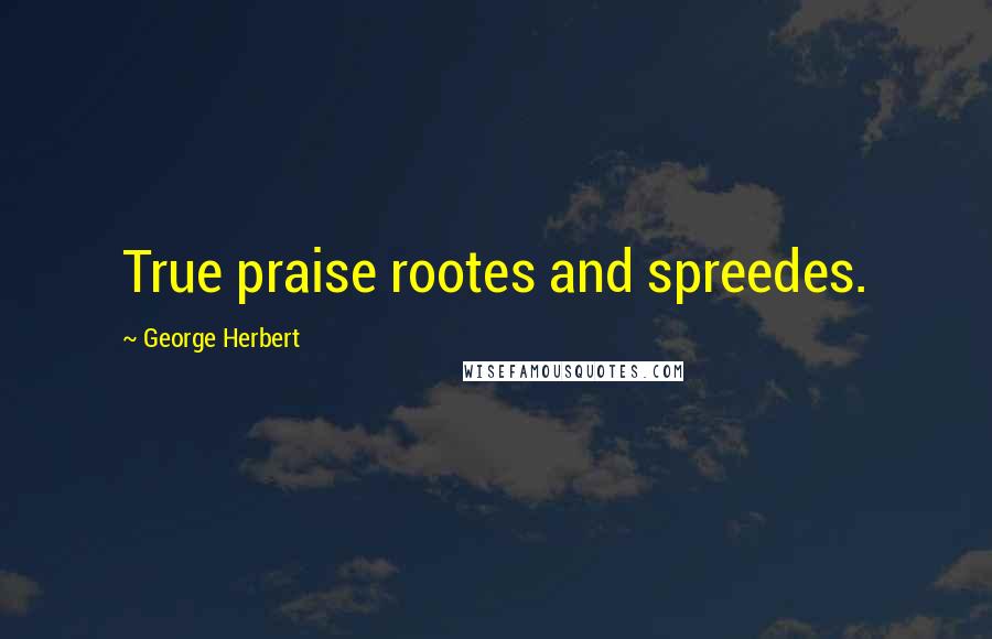 George Herbert Quotes: True praise rootes and spreedes.