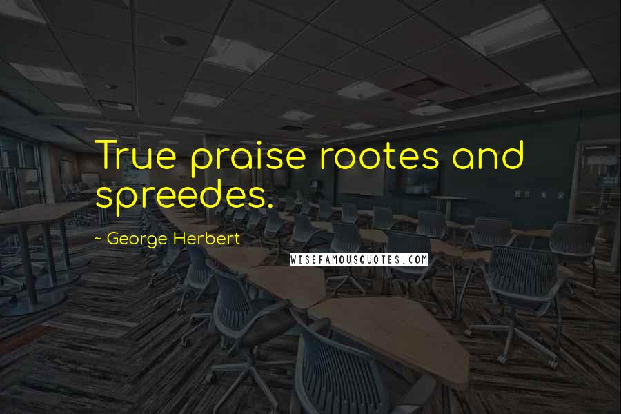 George Herbert Quotes: True praise rootes and spreedes.